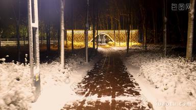 路灯下公园雪景